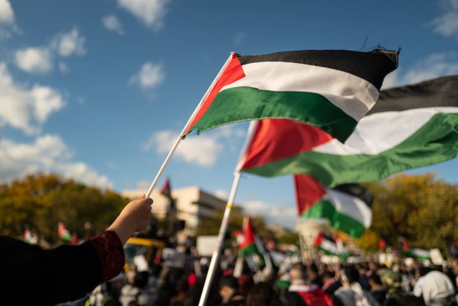 Palestinian flags (Photo: Shutterstock)