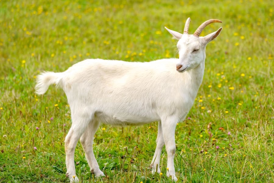 (Photo: Shutterstock)