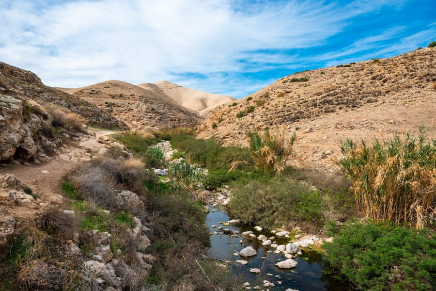 Nahal Prat in the Judaean Desert outside of Jerusalem (Photo: Shutterstock)