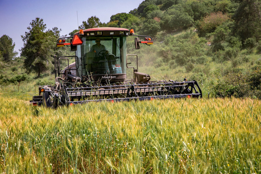 Illustrative - harvesting crops in Israel (Photo: Anat Hermony/Flash90)