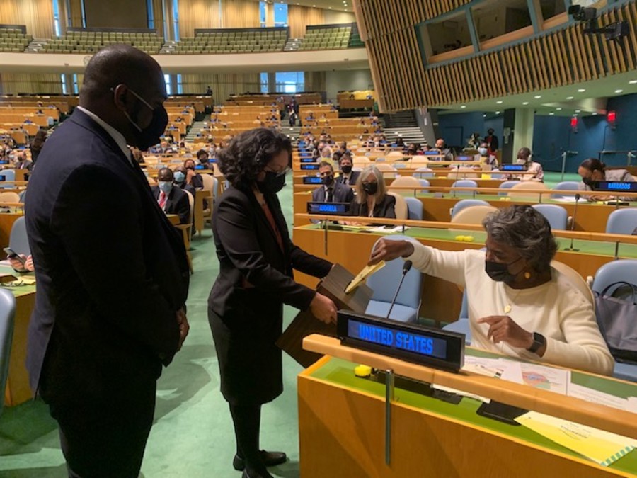 Illustrative vote at the UN by the US Ambassador to the UN Linda Thomas-Greenfield (Photo: Ambassador Thomas-Greenfield's official Twitter account)
