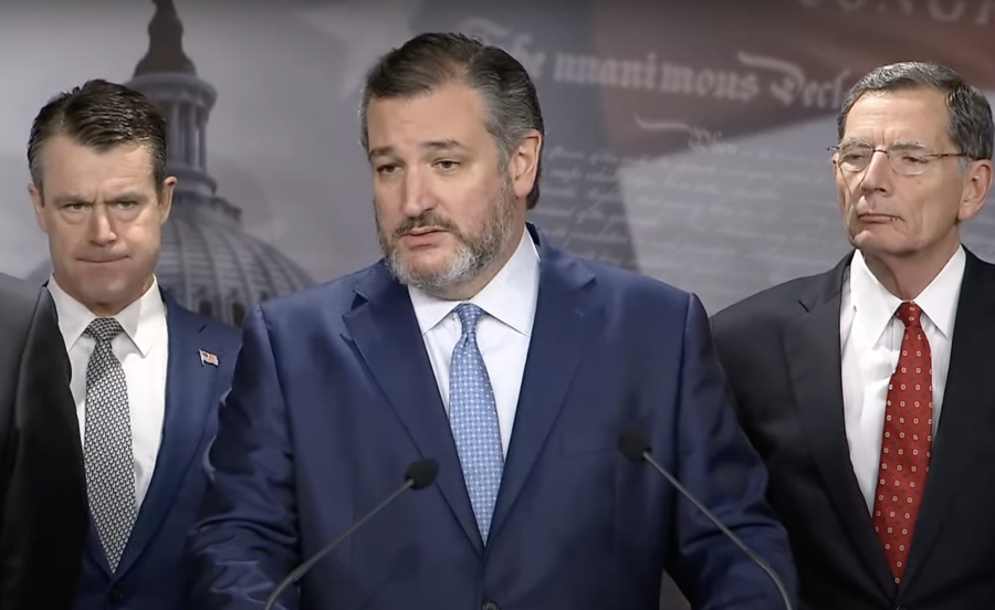 Republican senators at a press conference, Mar. 9, 2022 (Photo: Screenshot)