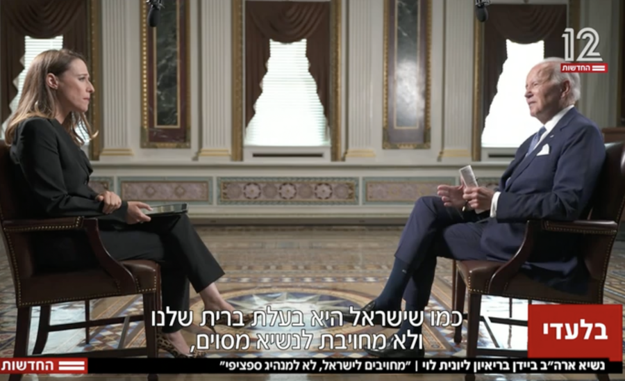 Screenshot: Channel 12 News TV interview