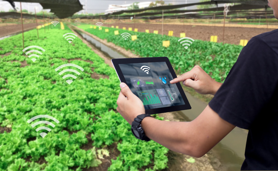 Illustrative - Agritech (Photo: Shutterstock)