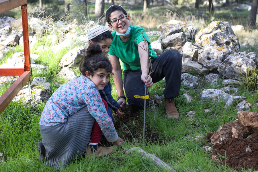 Israeli children plant trees on the eve of the Jewish holiday of Tu B'Shvat, Jan. 27, 2021. (Photo: Gershon Elinson/Flash90)