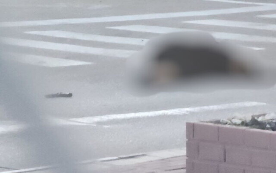 A woman is seen on the ground alongside a firearm after she was shot at a checkpoint near Hebron, May 9, 2023. (Photo courtesy)