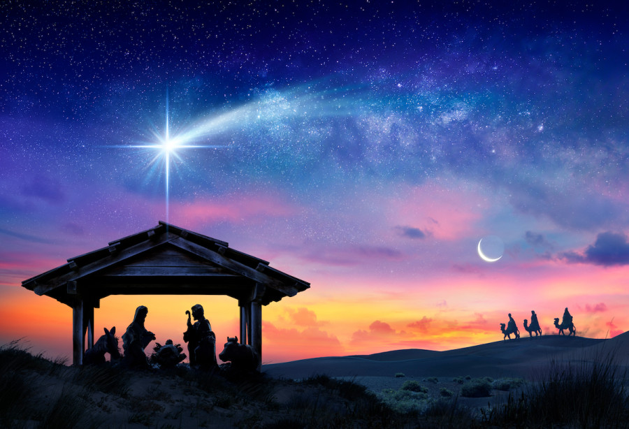 (Image: Shutterstock)