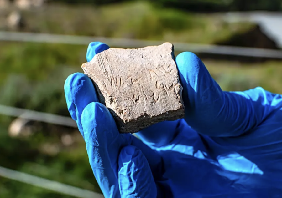 The supposed Darius inscription. (Photo: Yoli Schwartz/Israel Antiquities Authority)