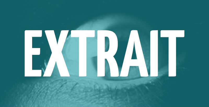 Extrait - Le roman dans le roman - Fyctia