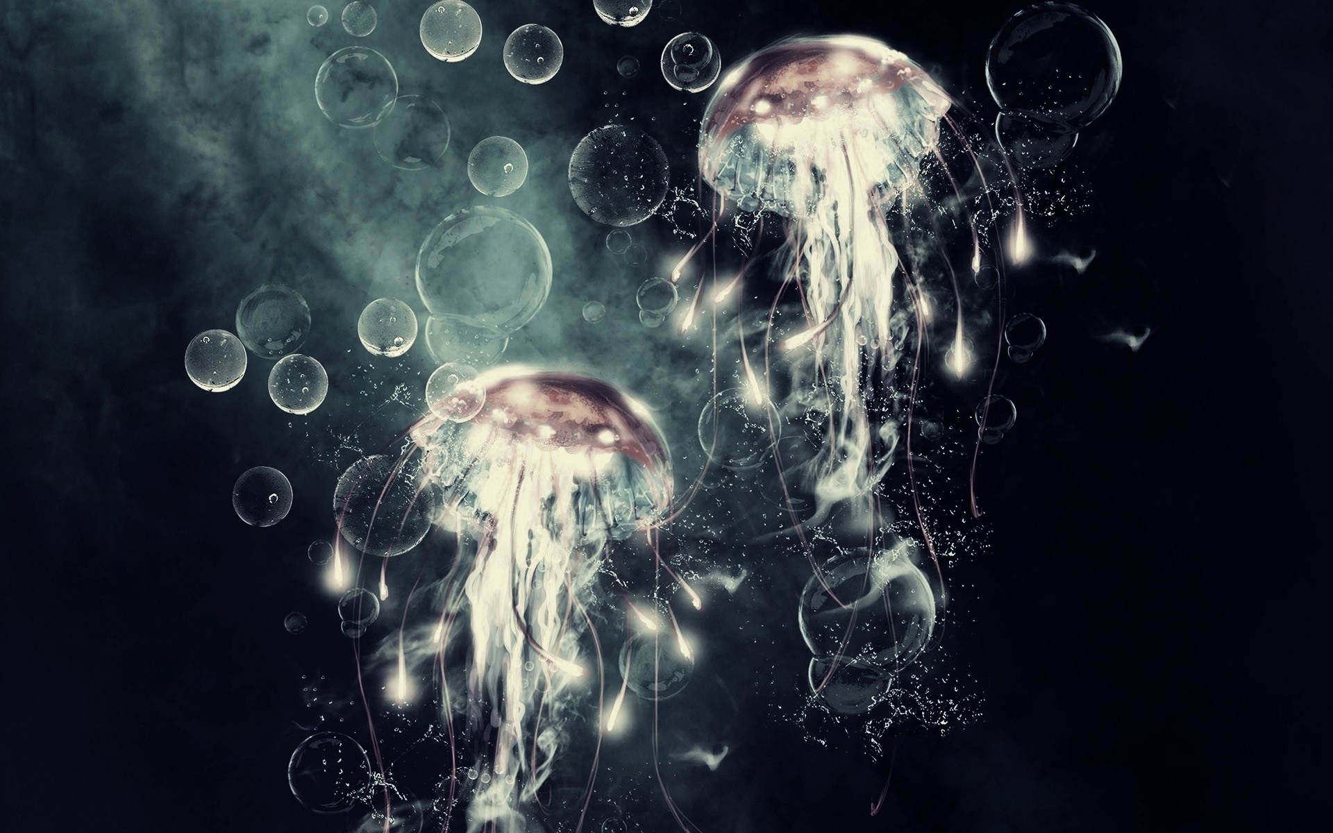 Le murmure des méduses