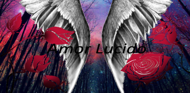 Amor Lucido