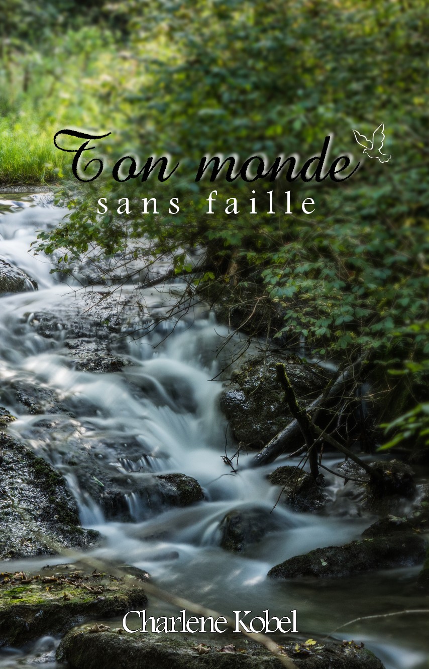 Ton monde sans faille