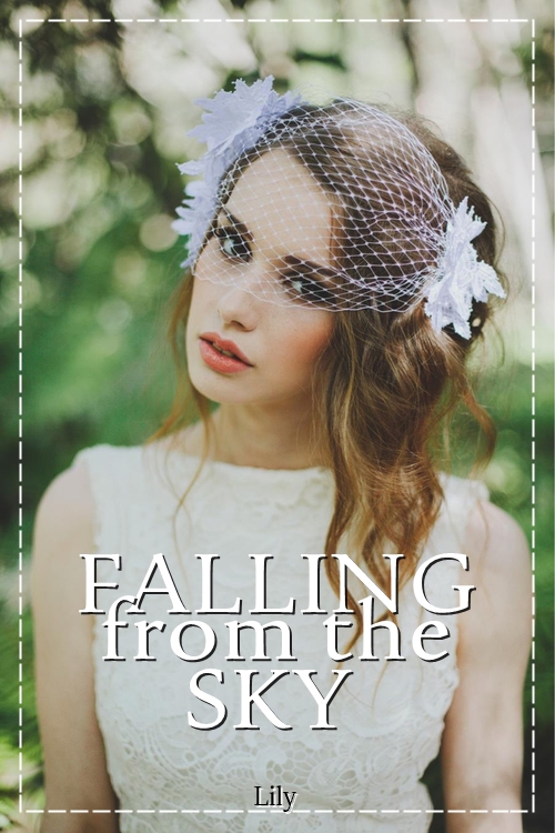 Falling From The Sky