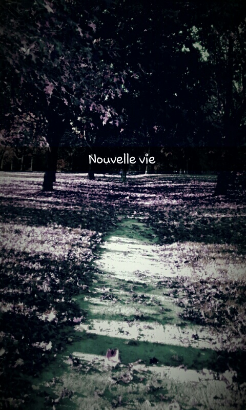une nouvelle vie