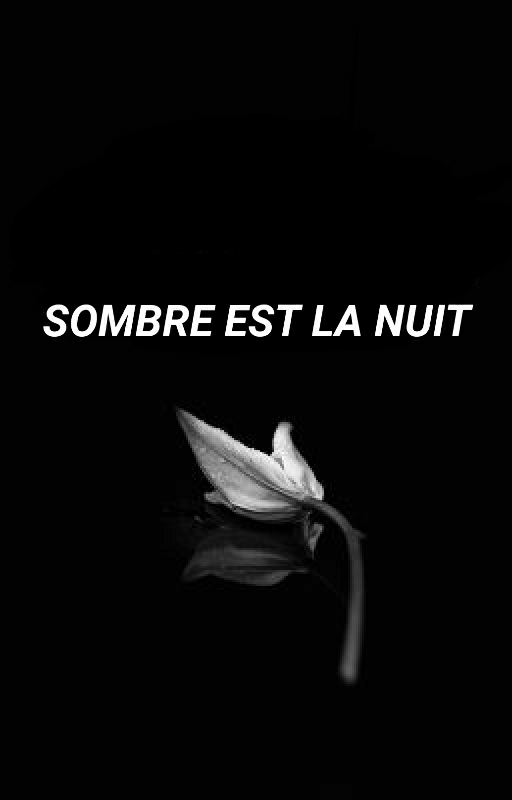 Sombre est la nuit