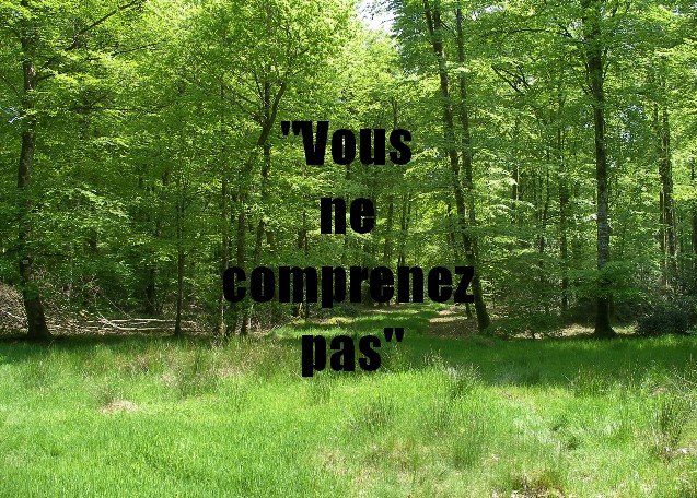 "Vous ne comprenez pas"