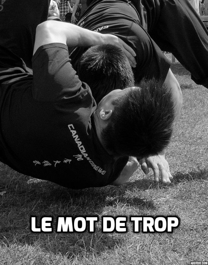 Le mot de trop