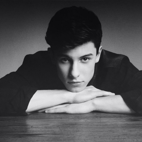 Keep Calm (Shawn Mendes)