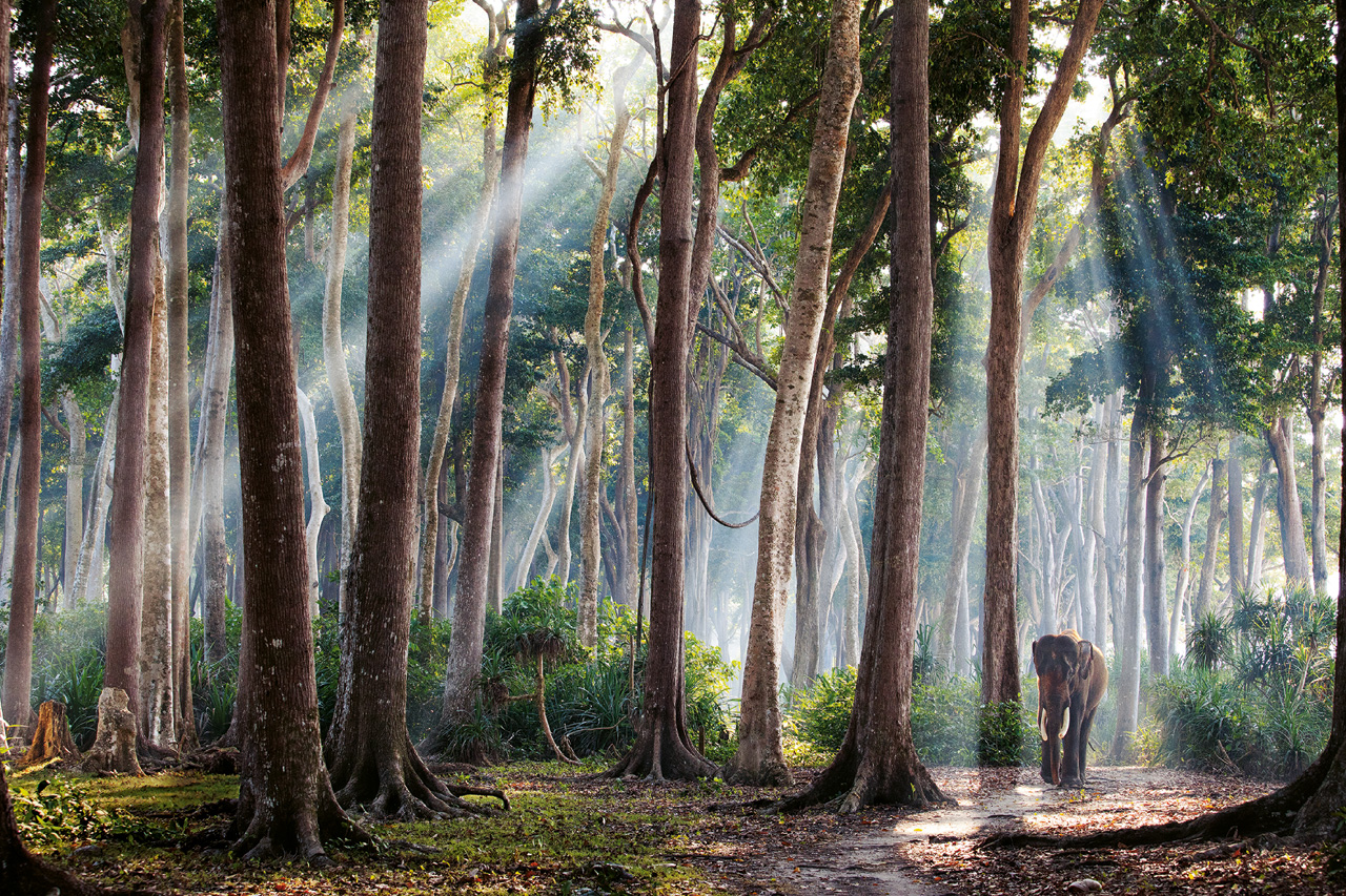 La Légende Indienne