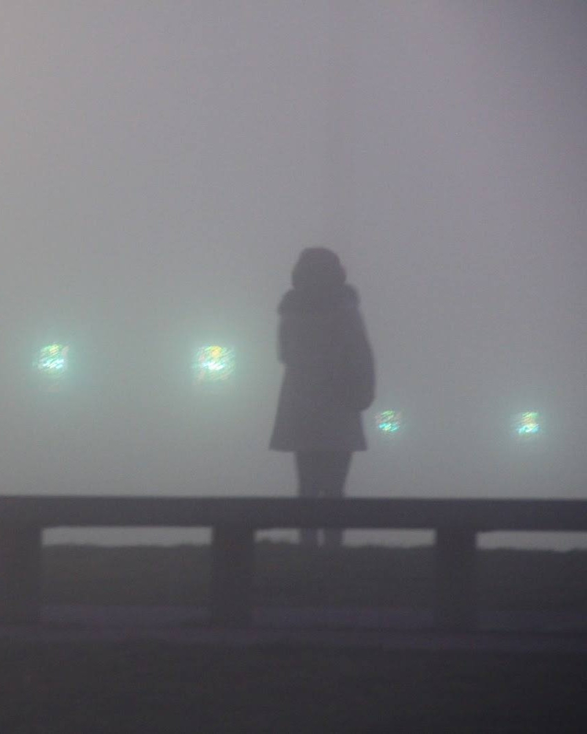 Les ombres et la brume