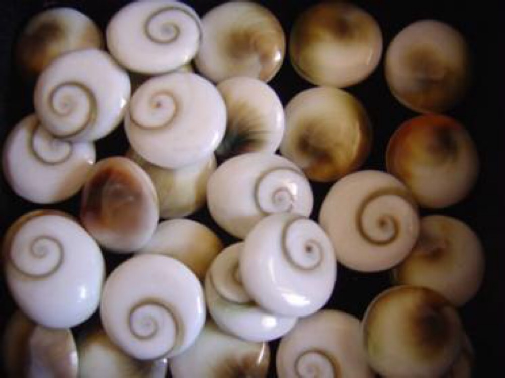 Zodiacs Men - Le Commencement