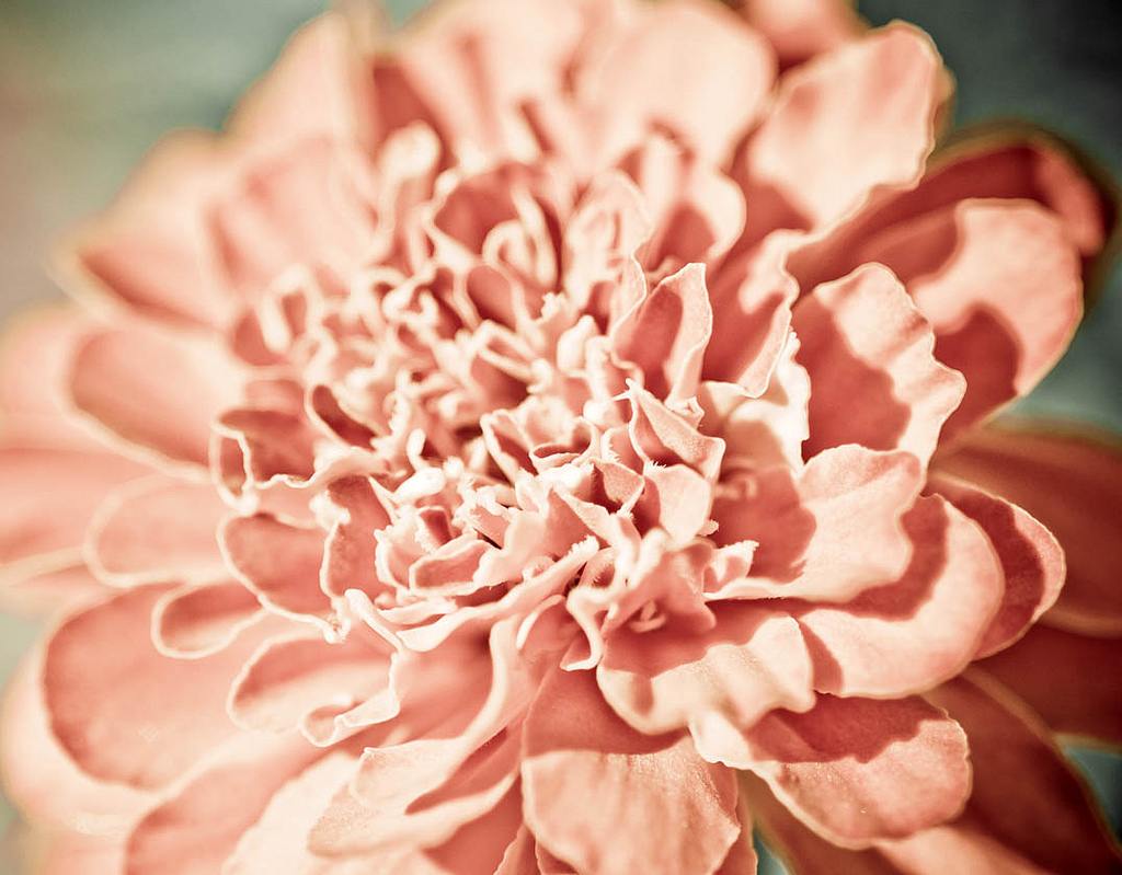 Subtile mélancolie.