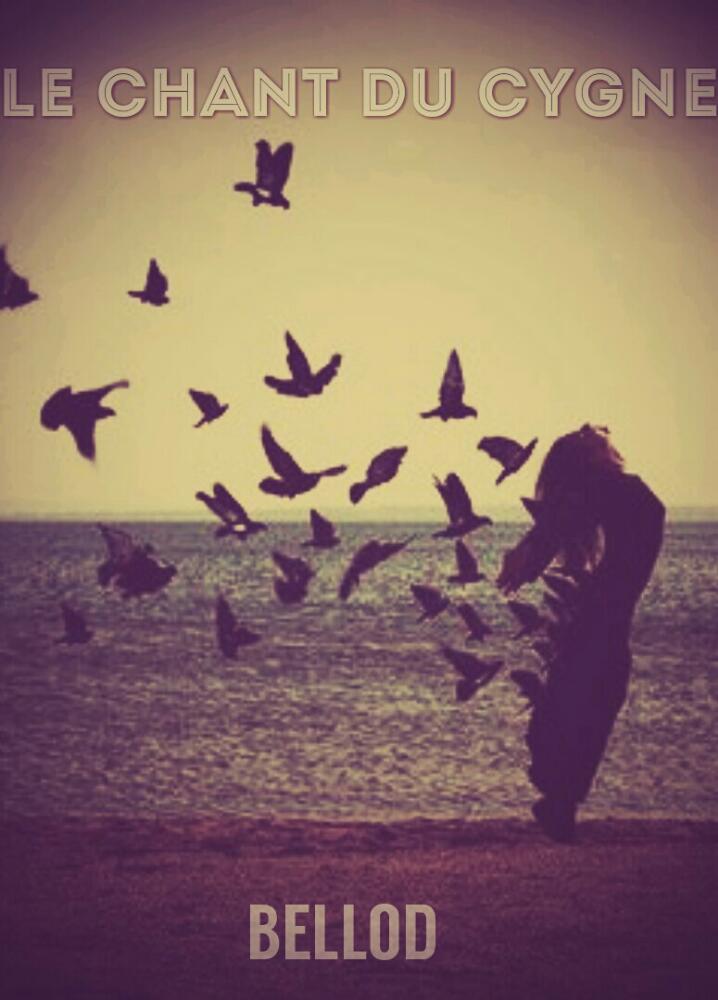 Le chant du Cygne...