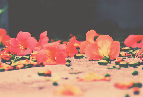 Burn in the darkness