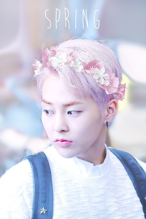 Fleur de cerisier sur ta peau