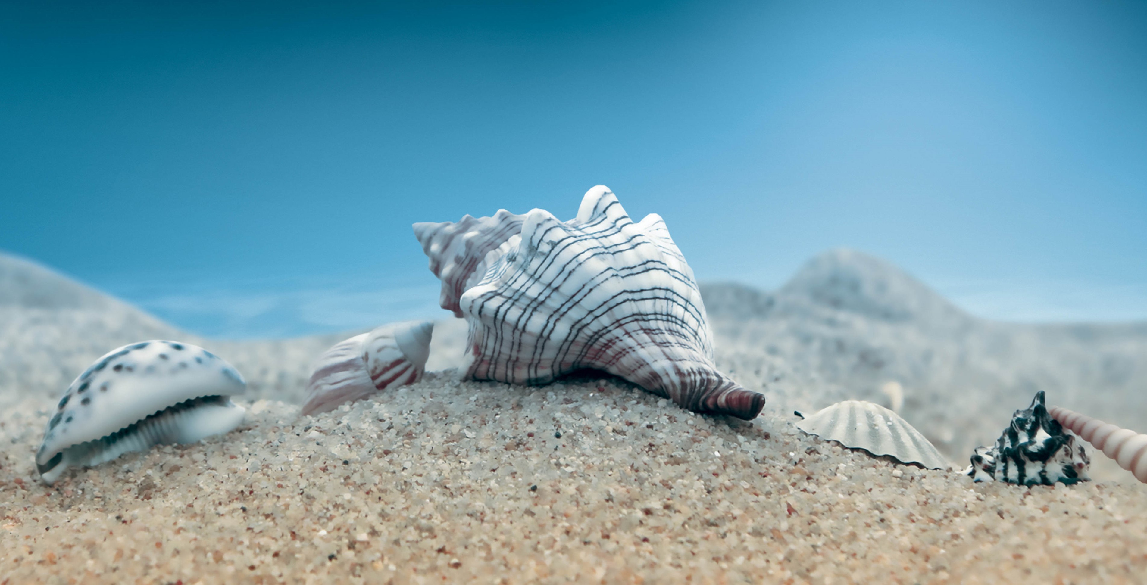 Au coeur de l'abysse