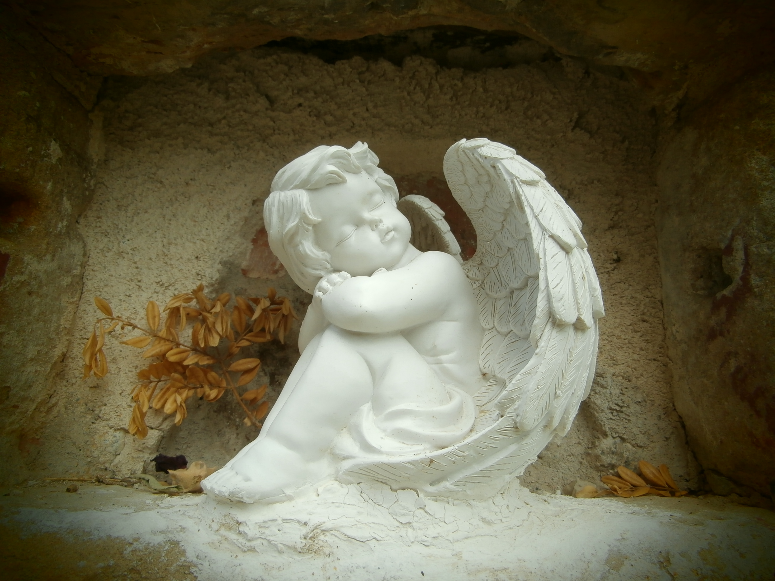 Comme un ange égaré