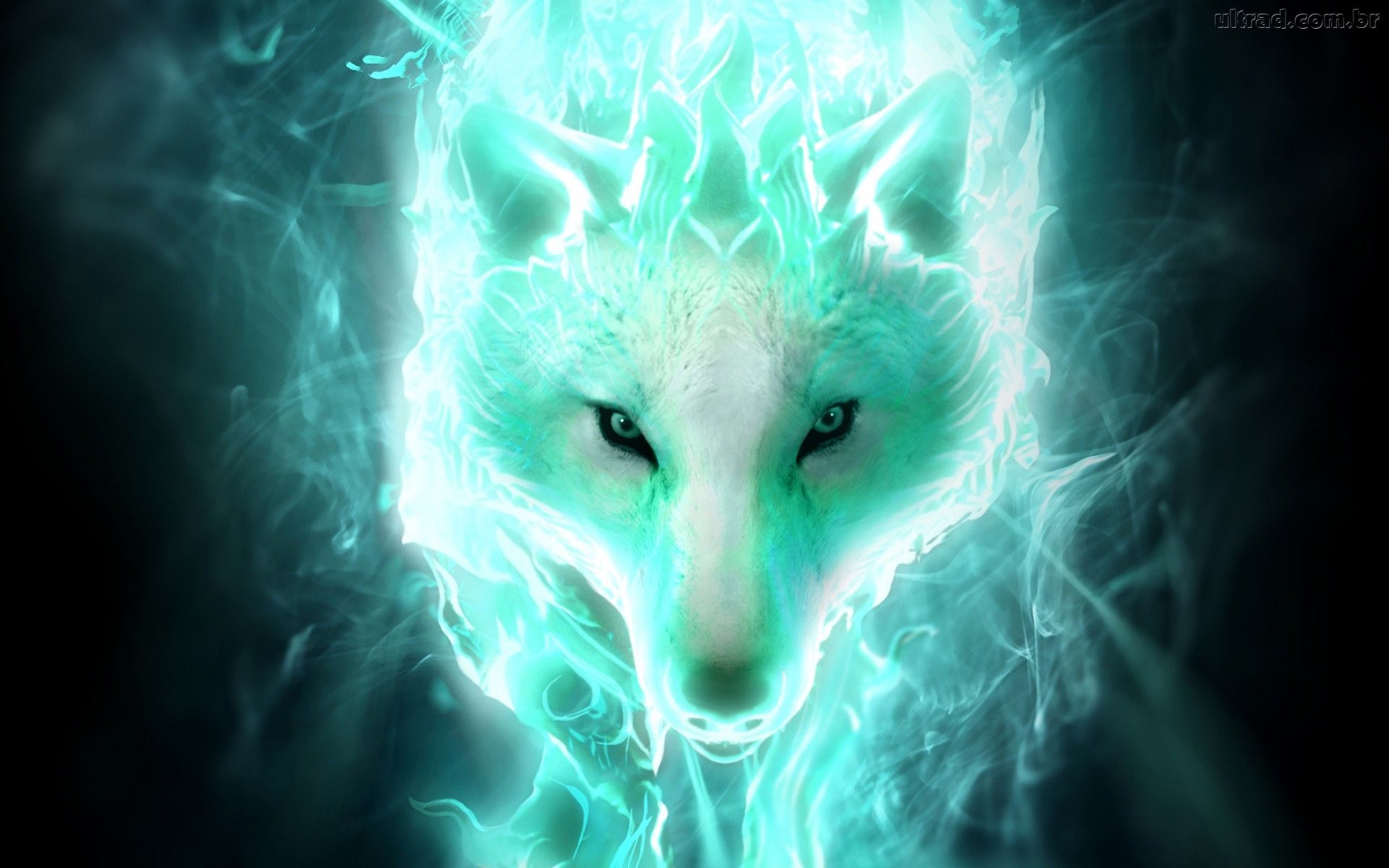 White Wolf: Tuer est un choix
