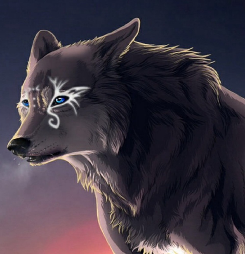 Tout est question de choix