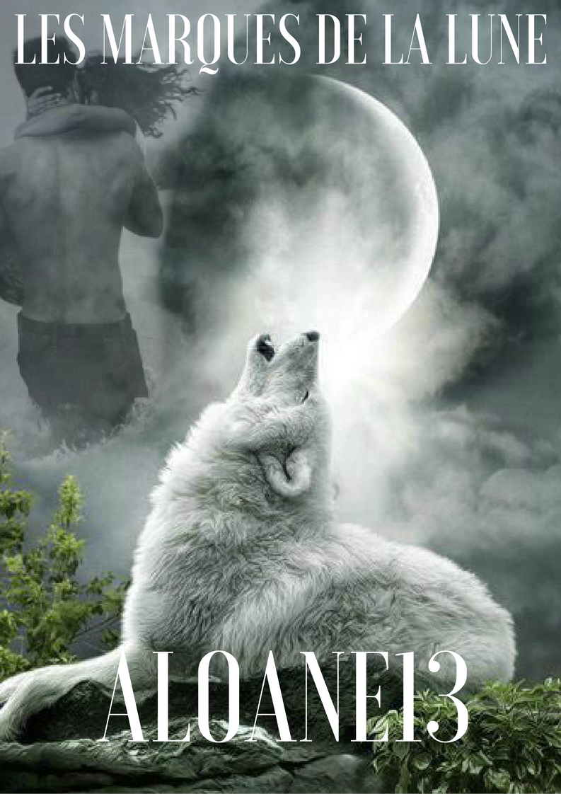 Les marques de la lune