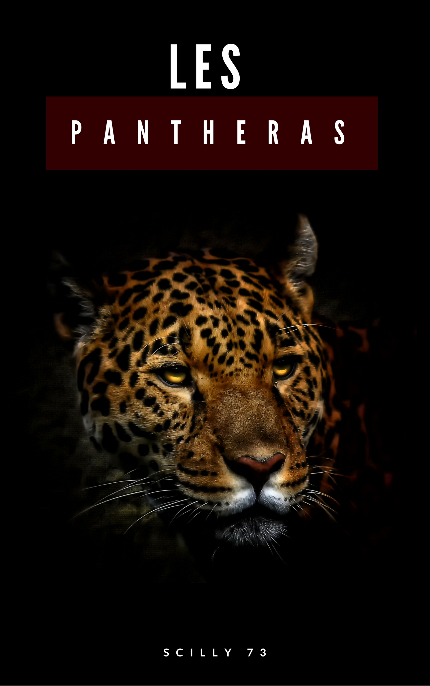 Les Pantheras