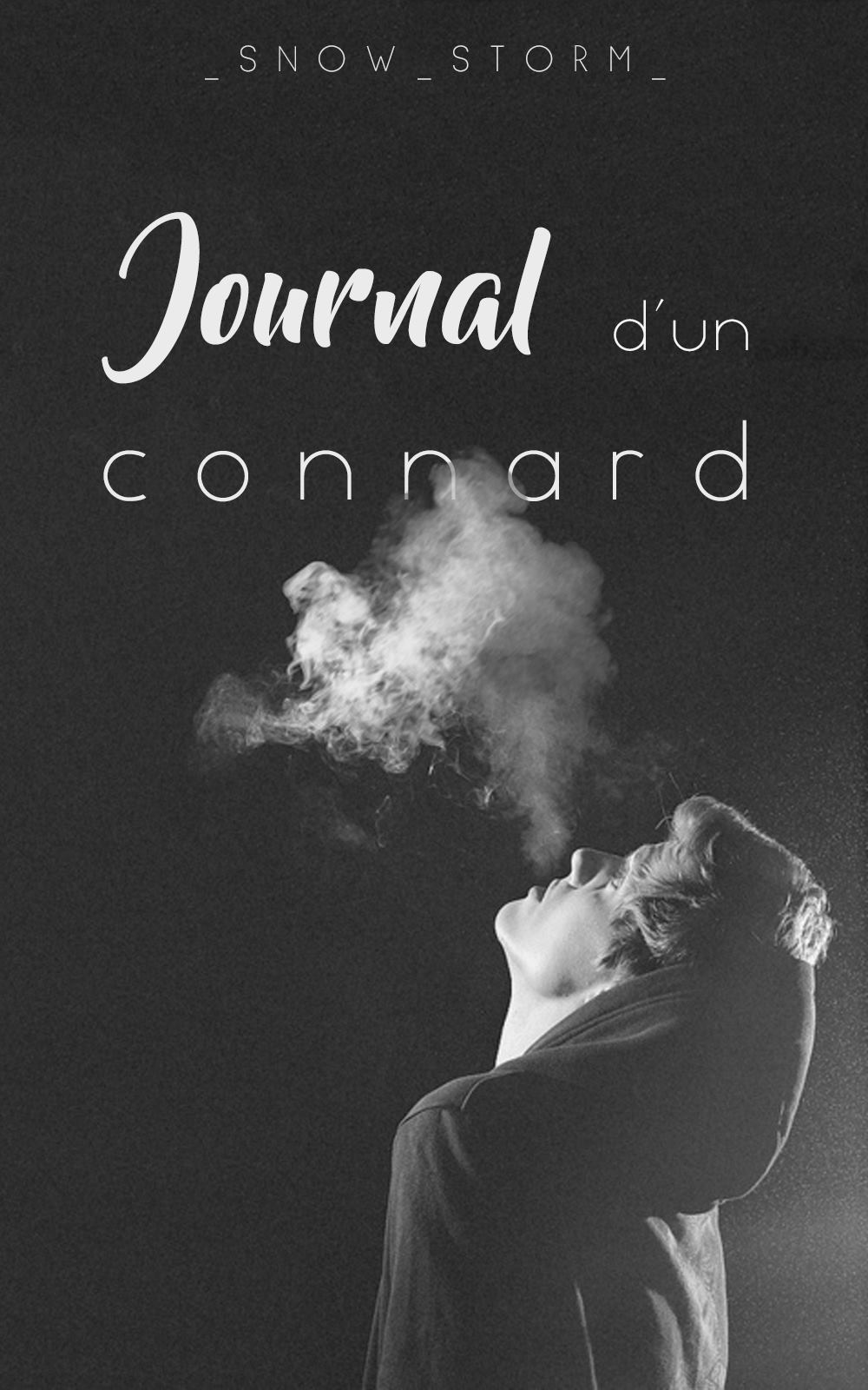 Journal d'un Connard