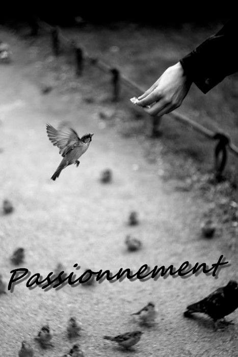 Passionnement