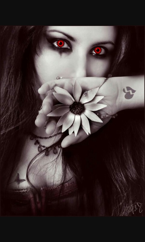 Au-delà d'une destinée...