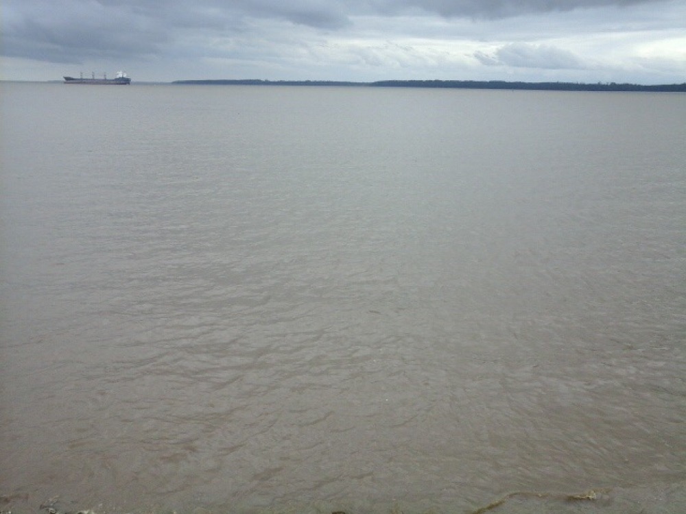 Journal d'un prof in ♡ de son élève