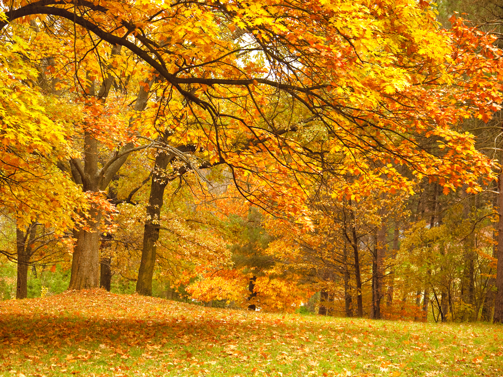 Une musique à trois temps