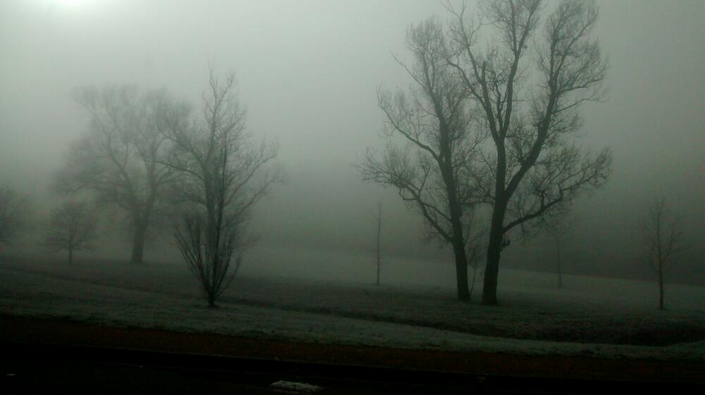 Il n'y a personne à blâmer.