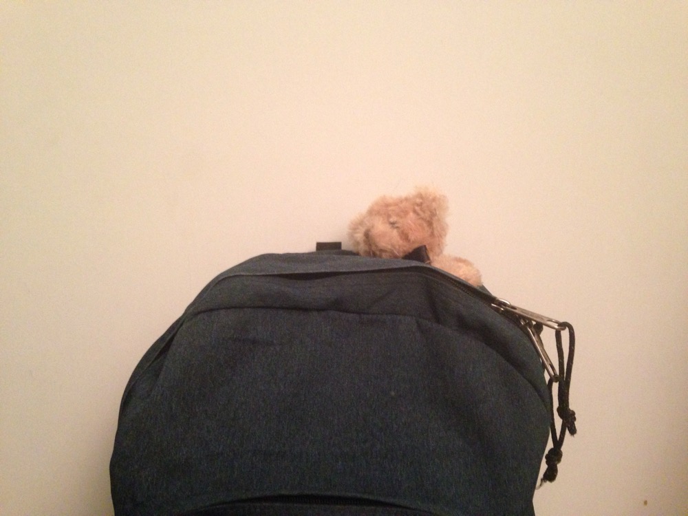 Je ne t'abandonnerai pas !