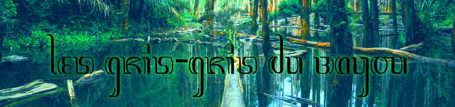 Les gris-gris du Bayou