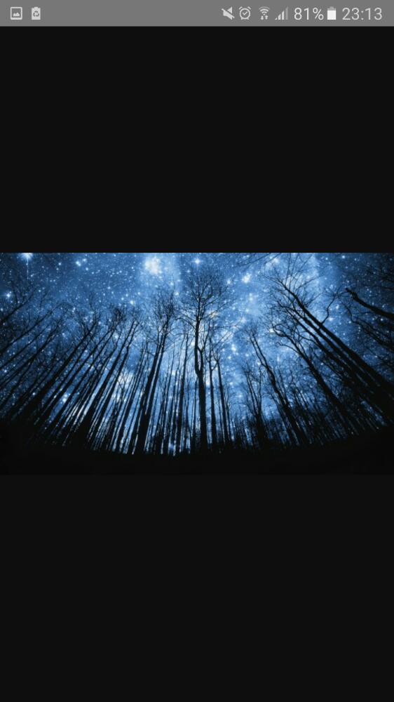 ✴ Le monde Wizare -1