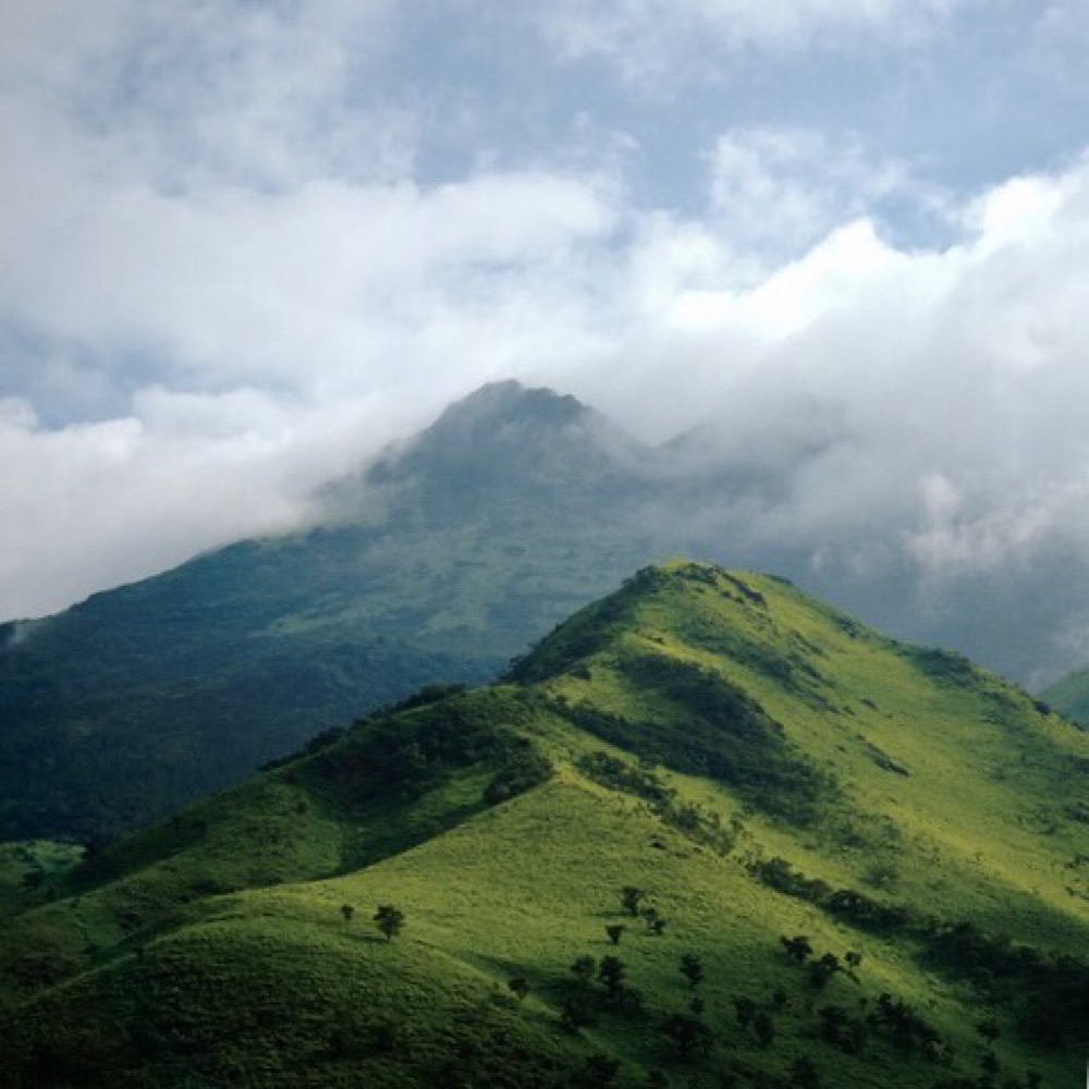 L'Arche du Nouveau Monde
