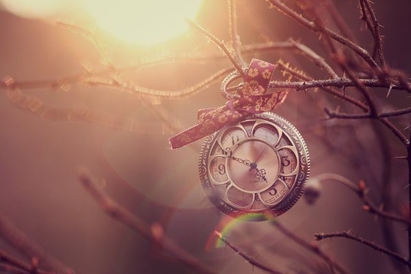 Carnet intime d'un écrivain anonyme