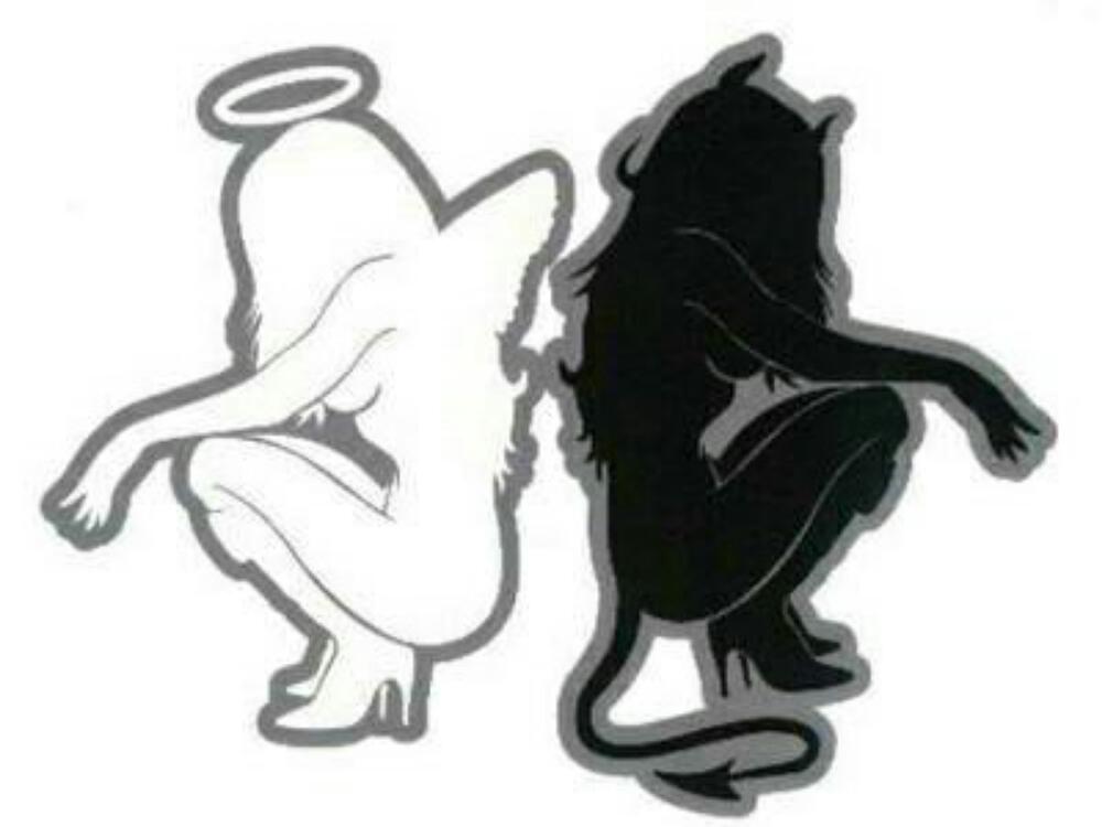 L'écrivaine parfaite ?