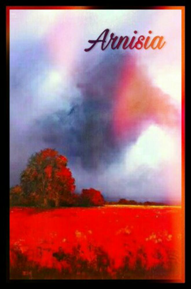 Arnisia