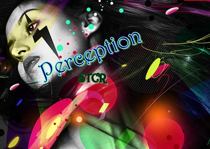 Perception
