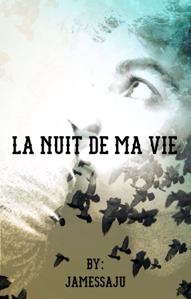 La nuit de ma vie